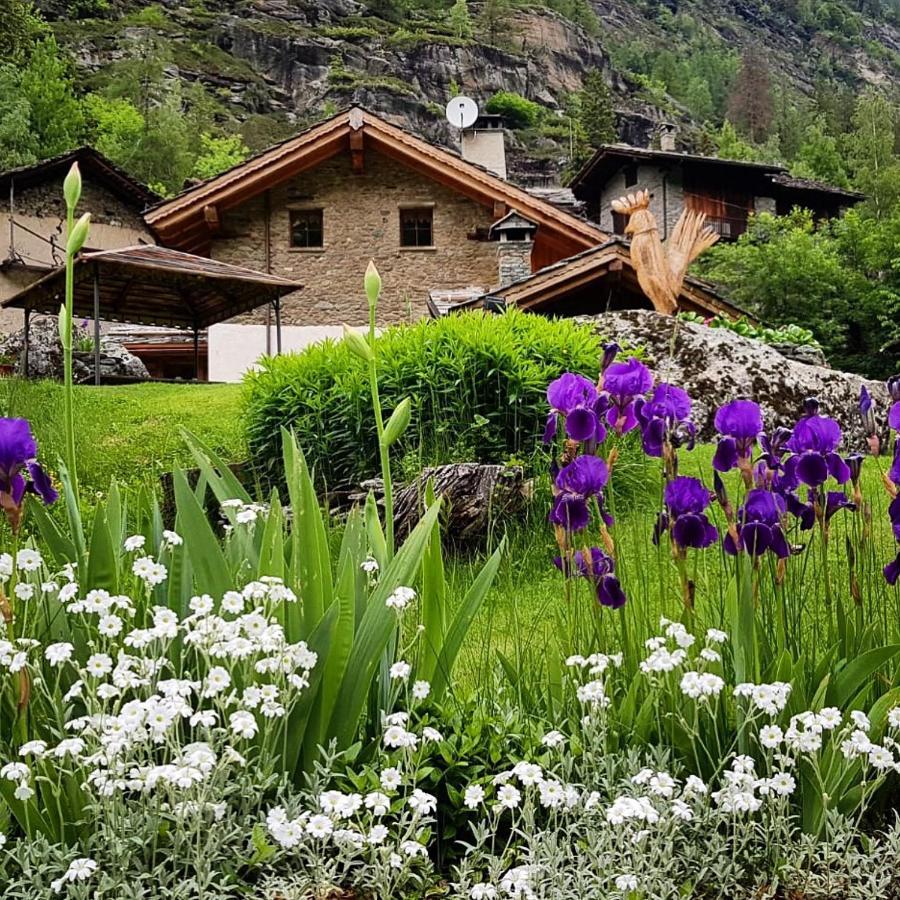 B&B Lo Djoua De Toueno อาร์วิแอร์ ภายนอก รูปภาพ